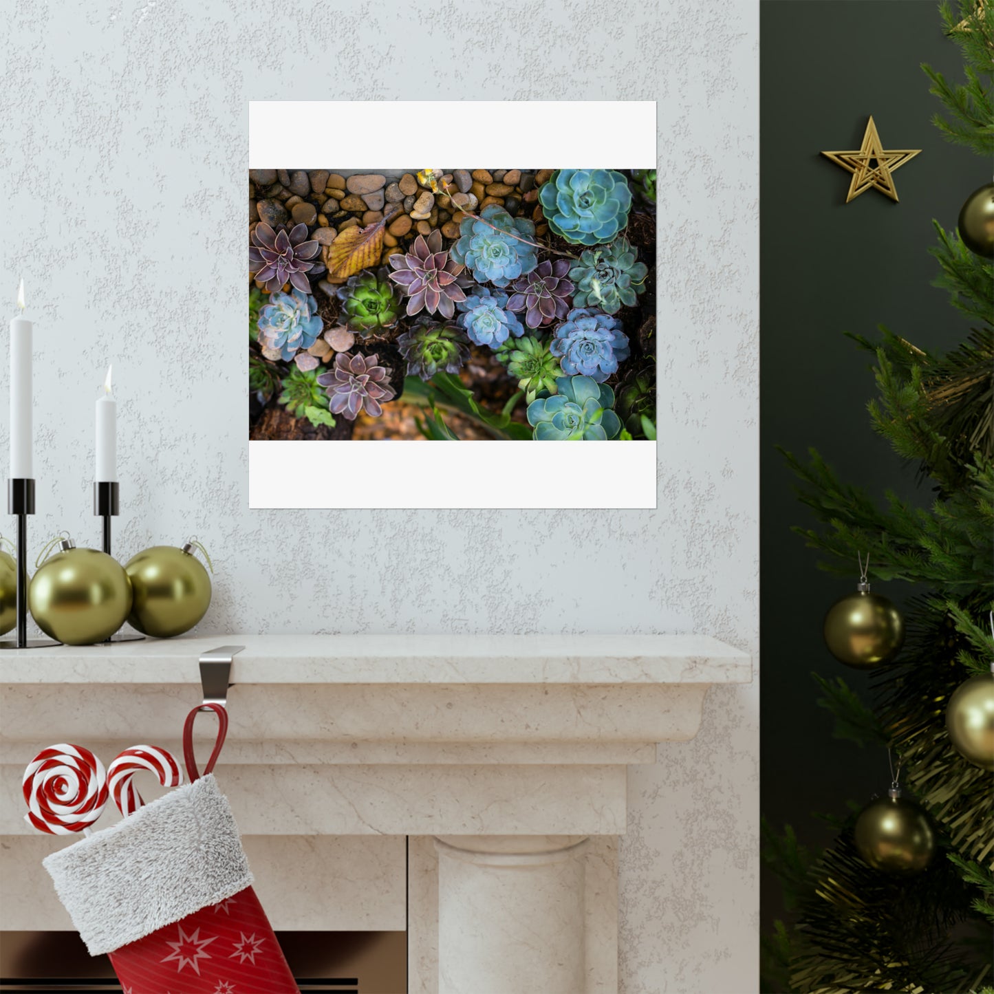 Love Joy Bestseller Fresh Succulents Loves Matte Vertical Posters