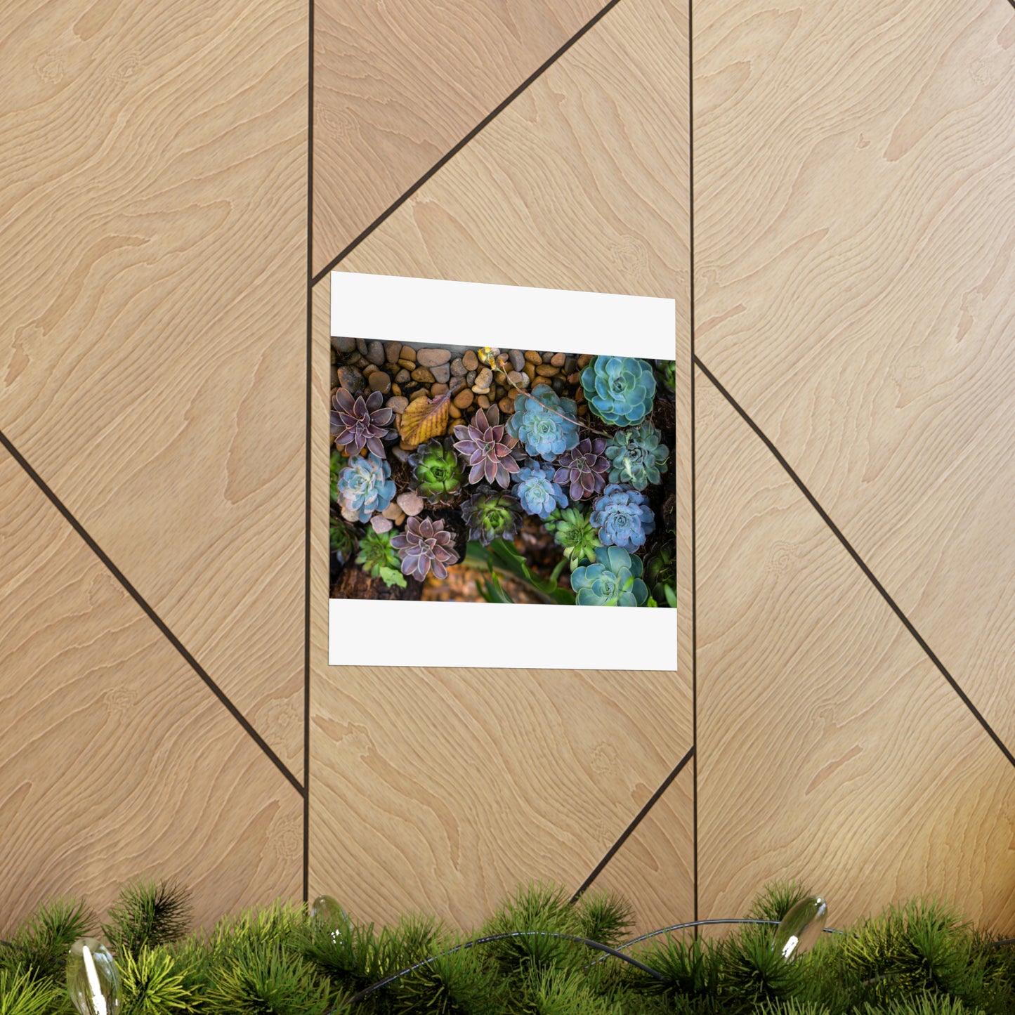 Love Joy Bestseller Fresh Succulents Loves Matte Vertical Posters