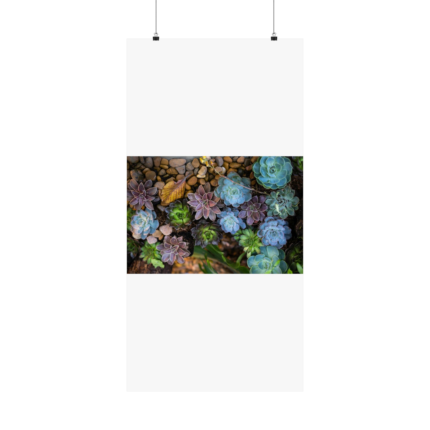 Love Joy Bestseller Fresh Succulents Loves Matte Vertical Posters