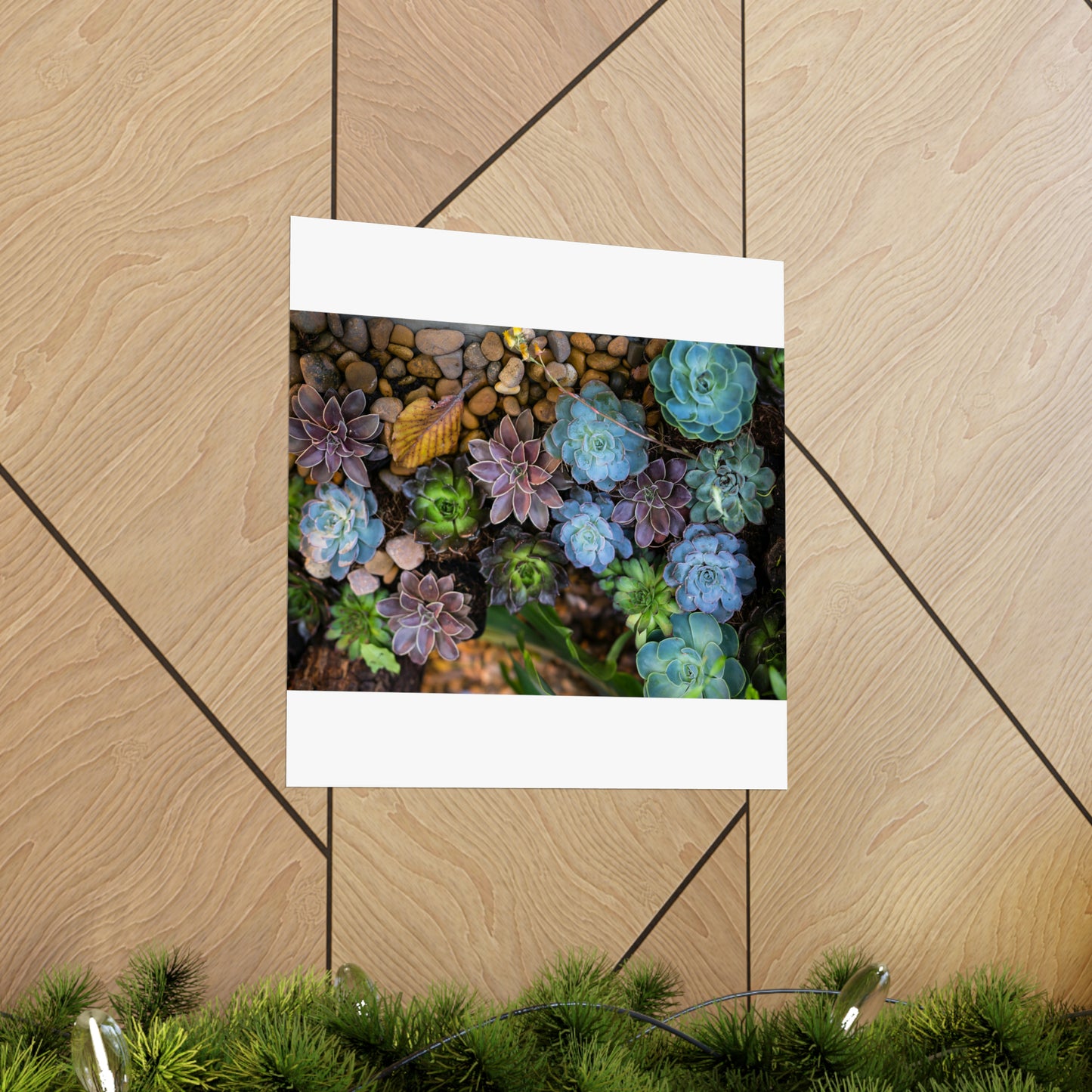 Love Joy Bestseller Fresh Succulents Loves Matte Vertical Posters