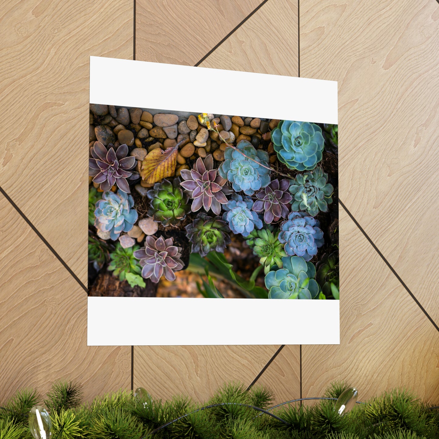 Love Joy Bestseller Fresh Succulents Loves Matte Vertical Posters