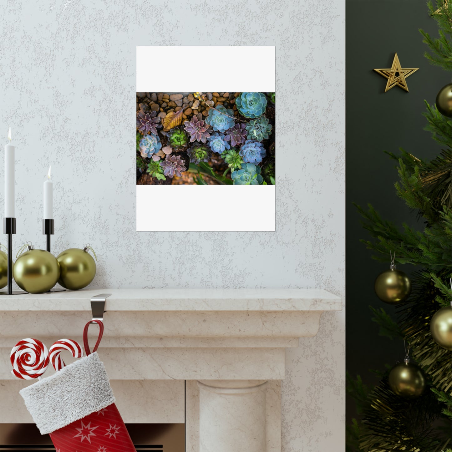 Love Joy Bestseller Fresh Succulents Loves Matte Vertical Posters