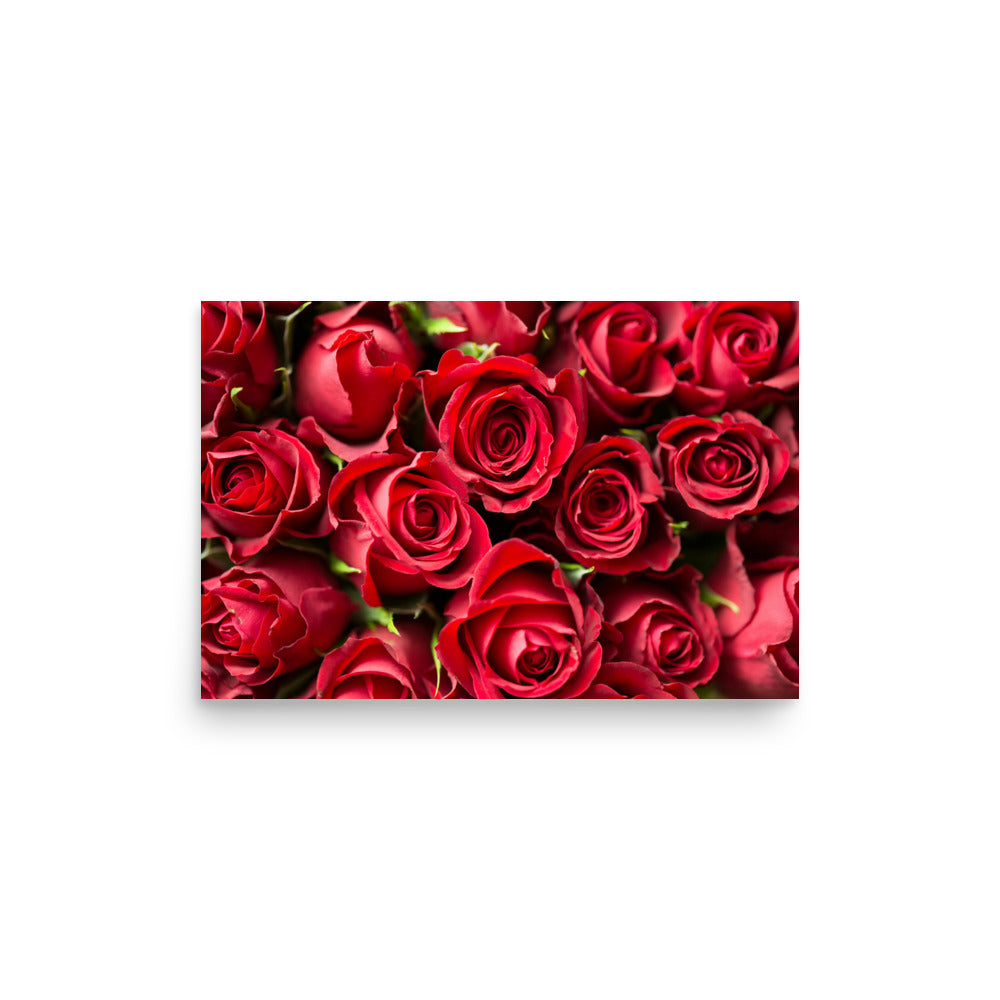 Love Joy Bestseller Coming Up Roses Poster