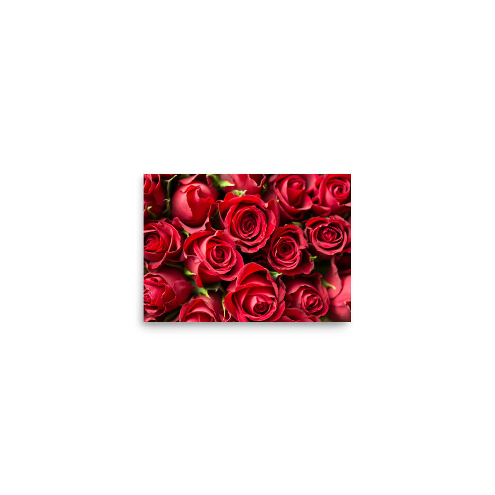 Love Joy Bestseller Coming Up Roses Poster