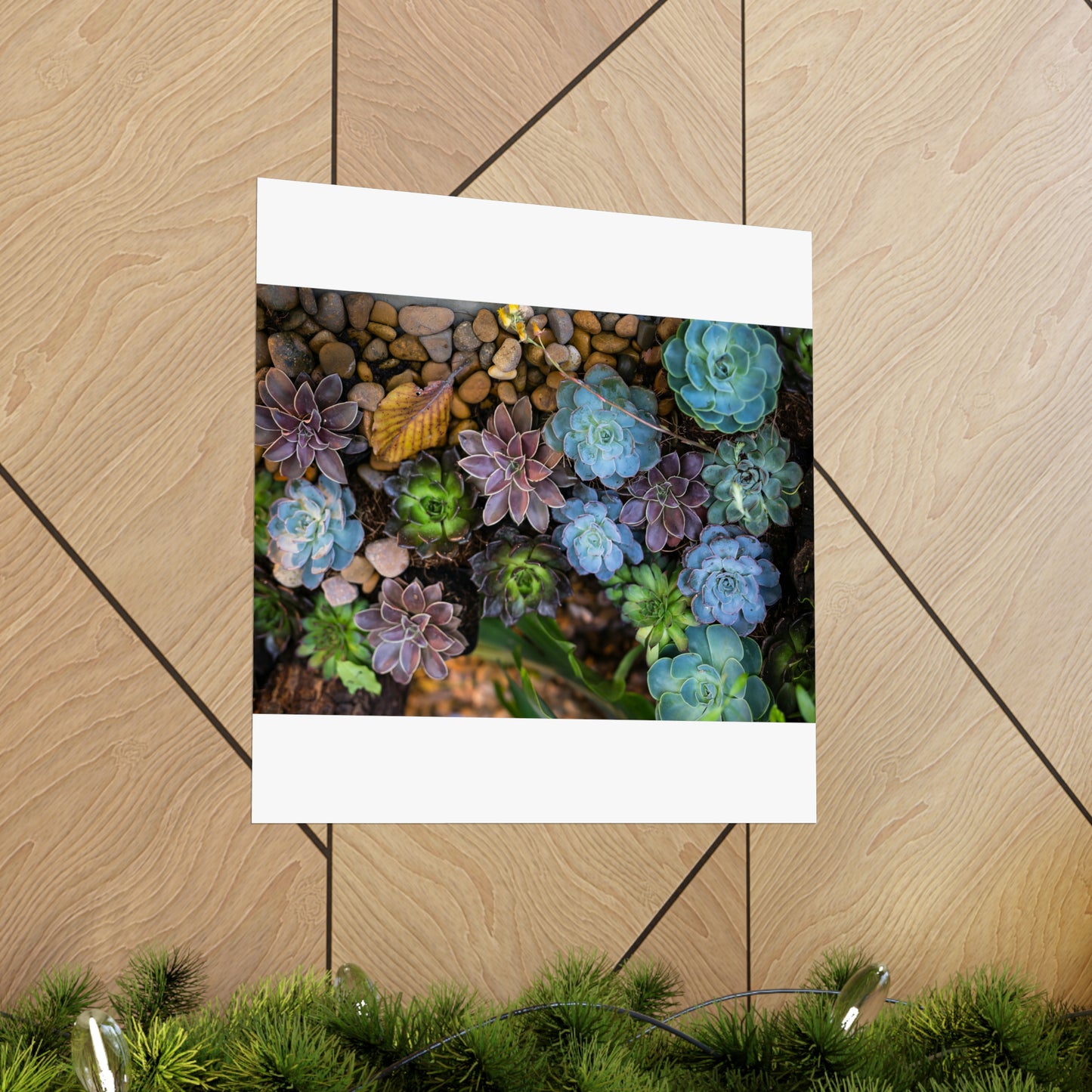 Love Joy Bestseller Fresh Succulents Loves Matte Vertical Posters