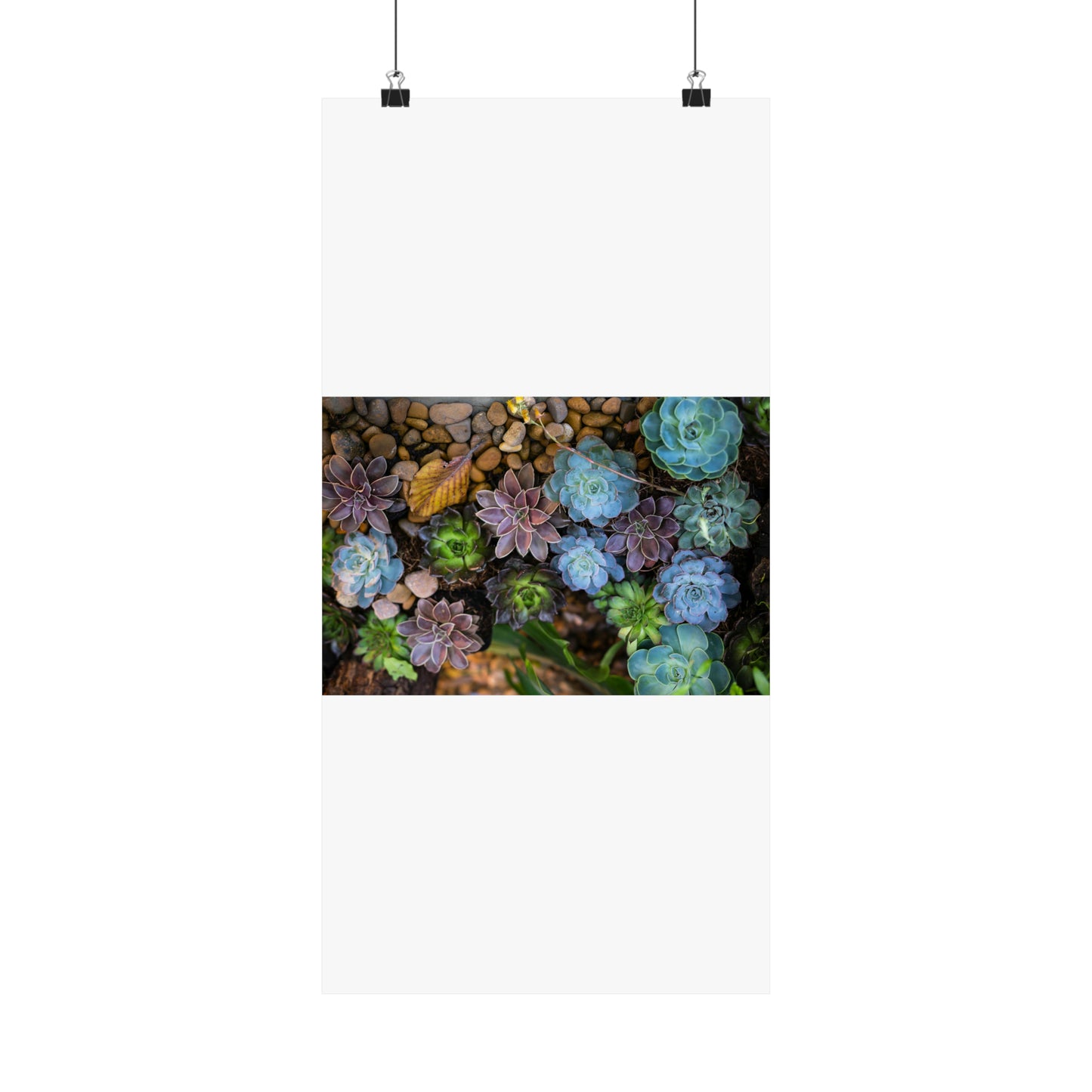 Love Joy Bestseller Fresh Succulents Loves Matte Vertical Posters