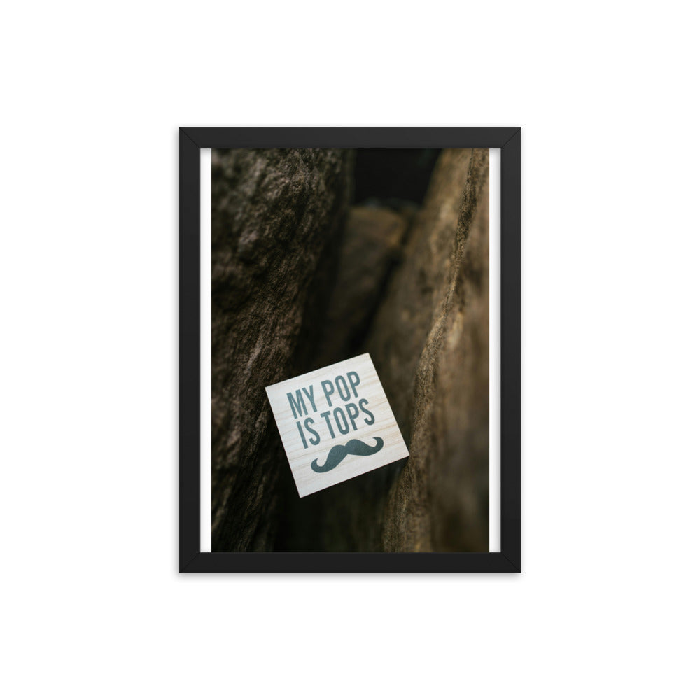 Love Joy Bestseller My Pop Is Tops Framed Poster