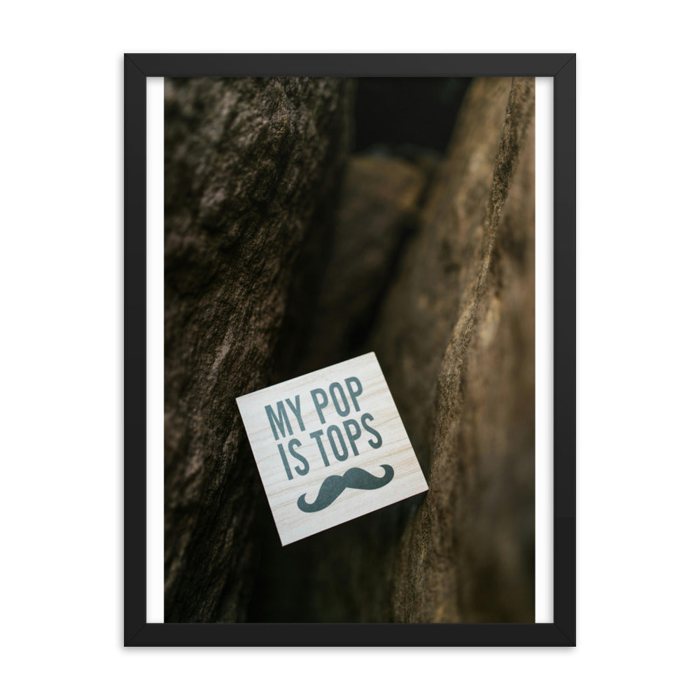 Love Joy Bestseller My Pop Is Tops Framed Poster