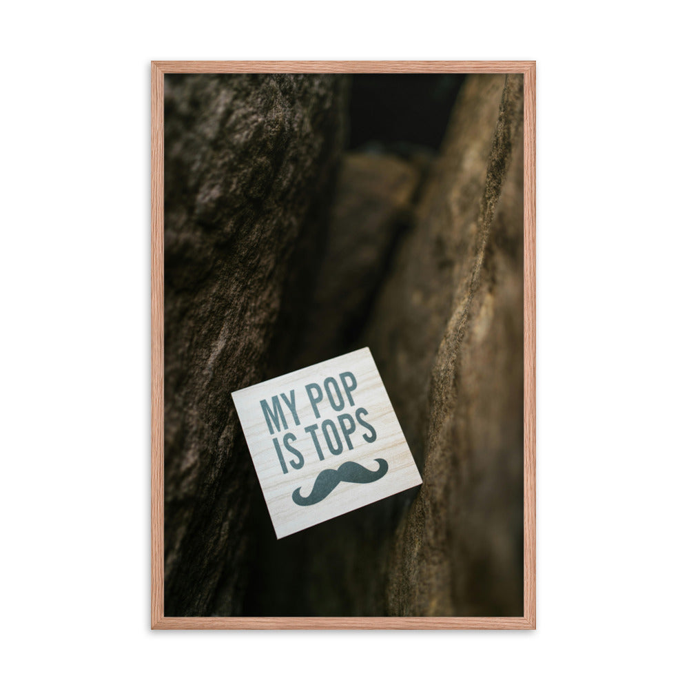 Love Joy Bestseller My Pop Is Tops Framed Poster