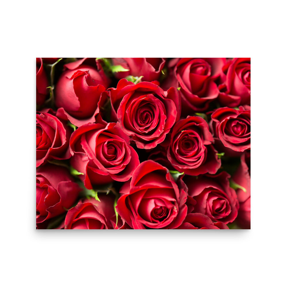 Love Joy Bestseller Coming Up Roses Poster