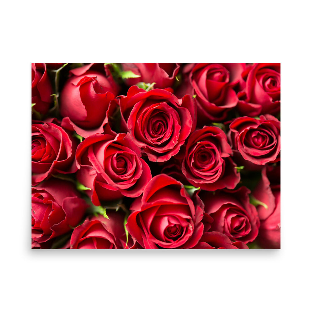 Love Joy Bestseller Coming Up Roses Poster