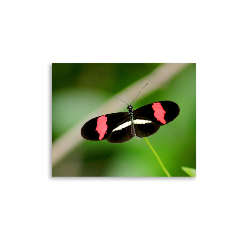 Love Joy Artistic Expression Photo Paper Poster