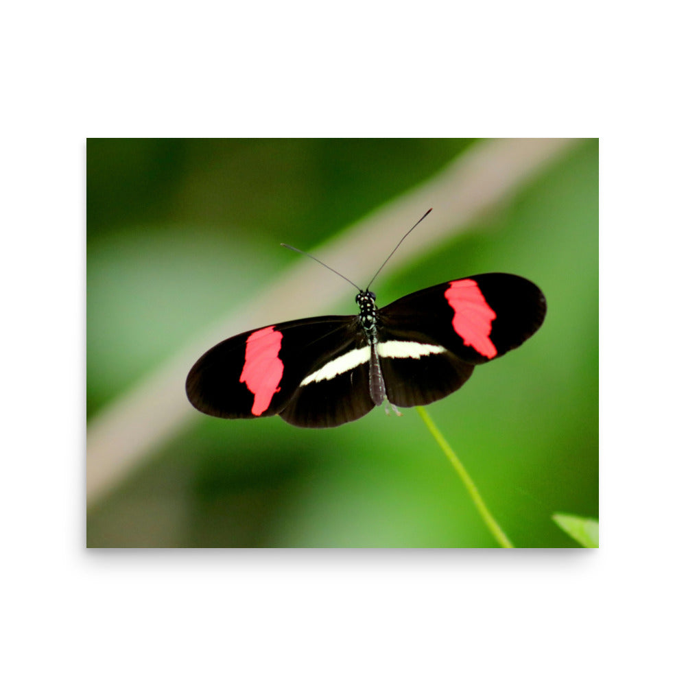 Love Joy Artistic Expression Photo Paper Poster